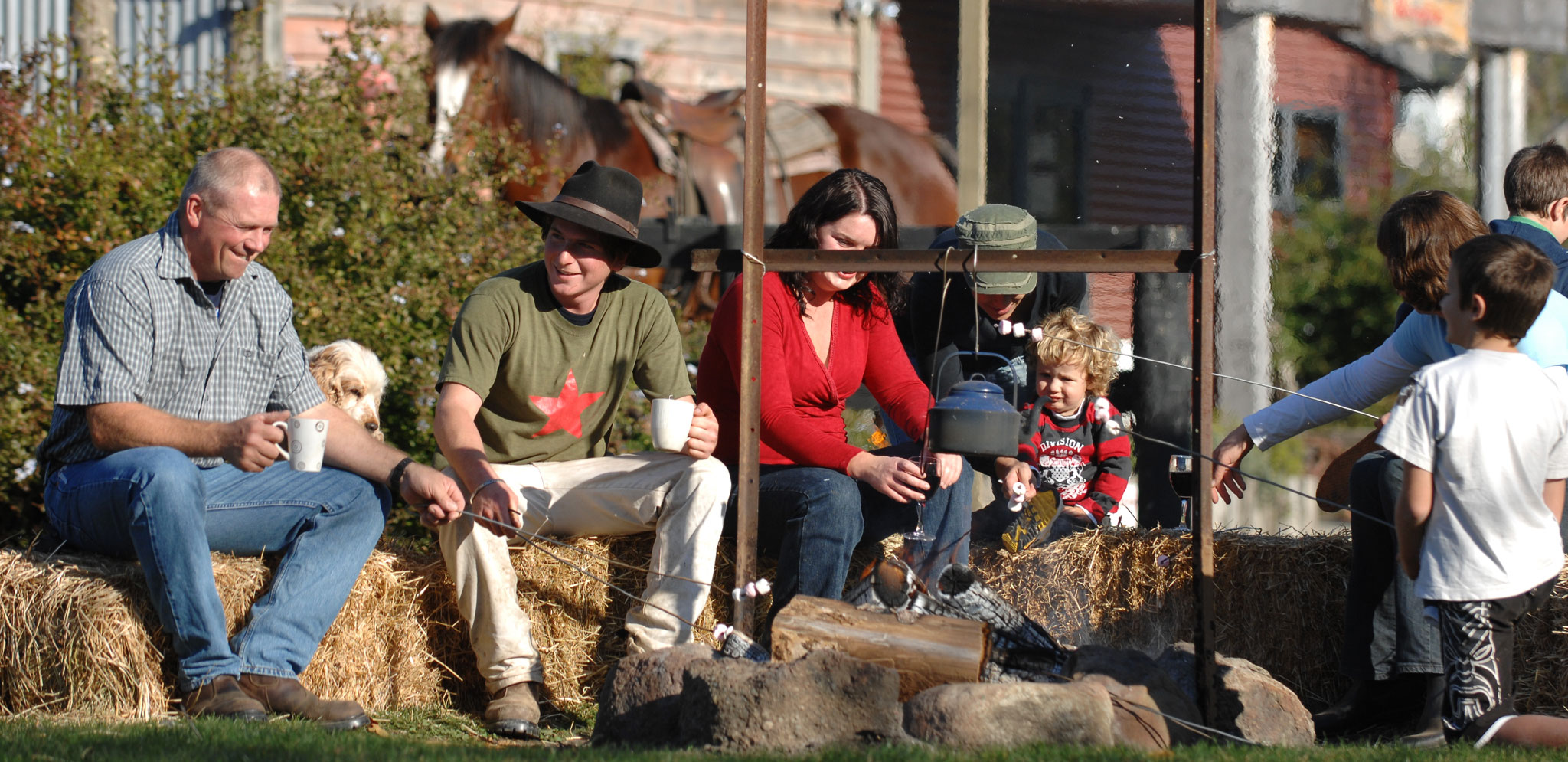 Stonehurst Farm Equestrian Agistment and Facilities Management