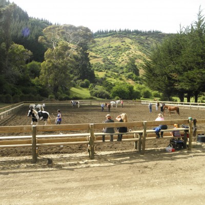 First Day of cattle clinic with Justin Cooney