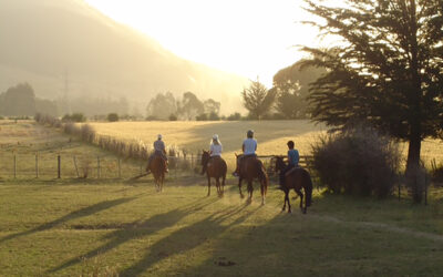 Stonehurst-Farm_Farm-Riding